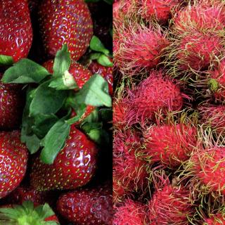 red fruits
